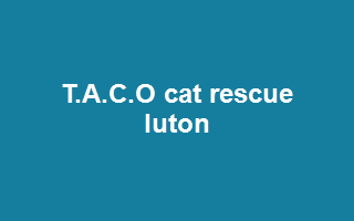 T.A.C.O cat rescue luton