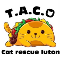 T.A.C.O cat rescue luton